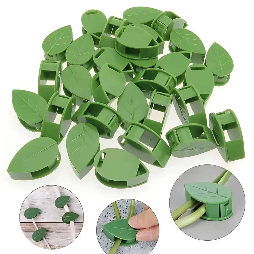 Ganchos / Clips Adhesivo para pared