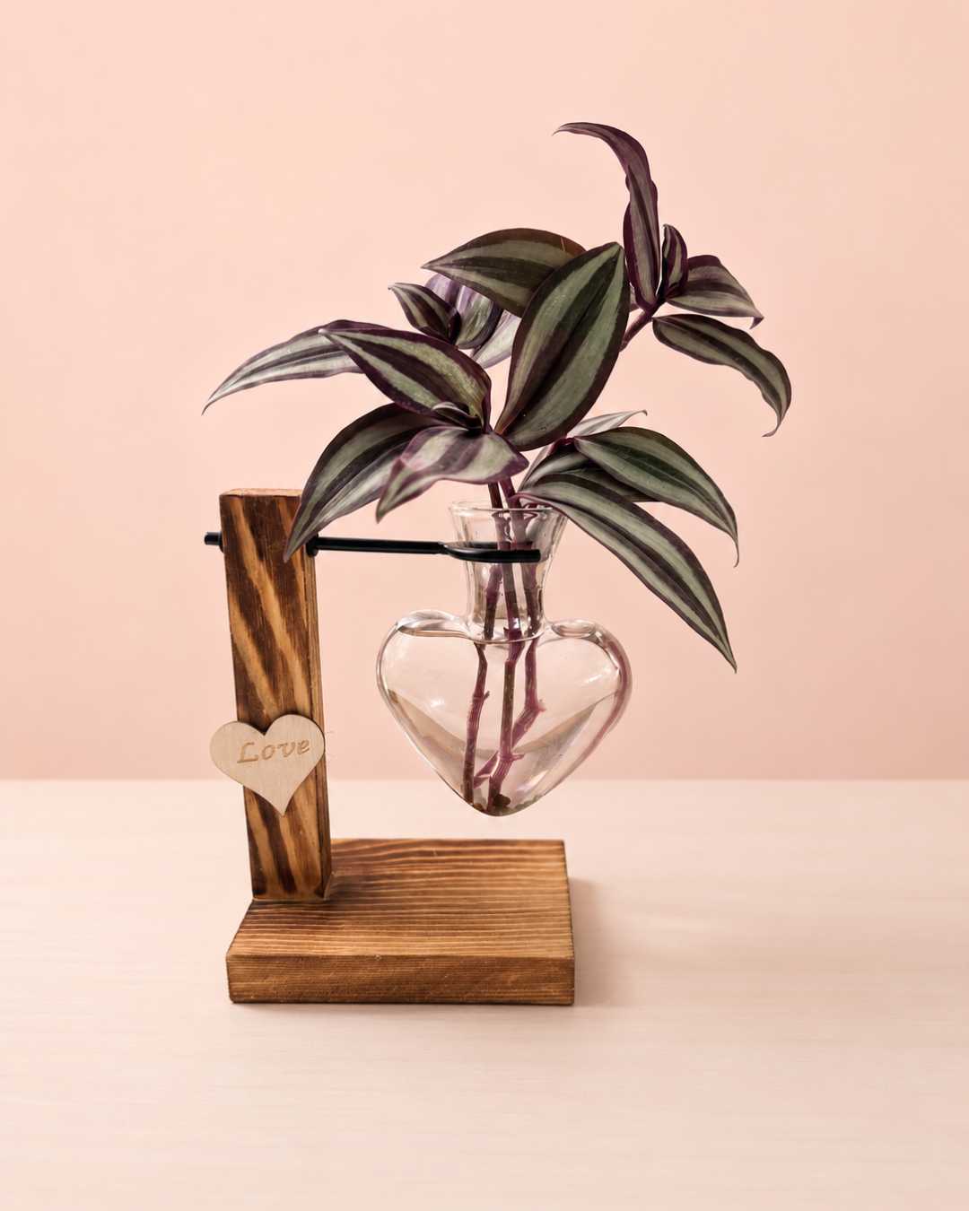 Hidroterrario Corazón | Planta en Agua para Interior