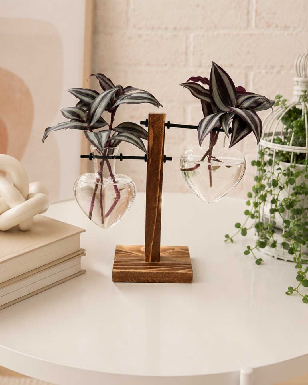 Hidroterrario 2 Corazón | Planta en Agua para Interior