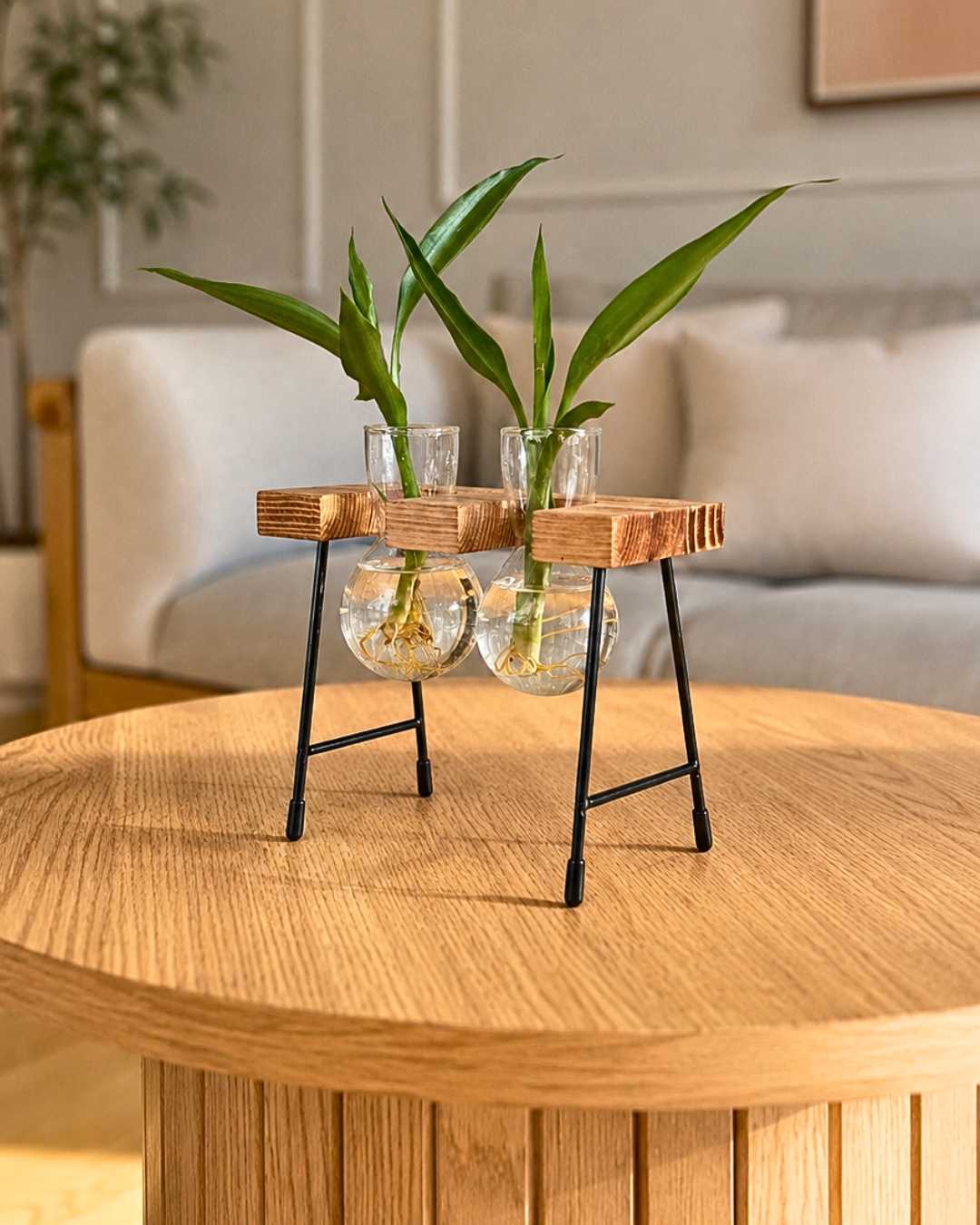 Hidroterrario Bali con 2 Lucky Bambú | Planta en Agua para Interior