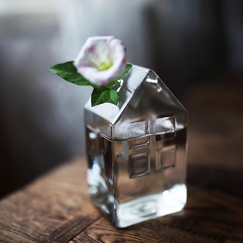 Hidroterrario casa home - plantas en agua