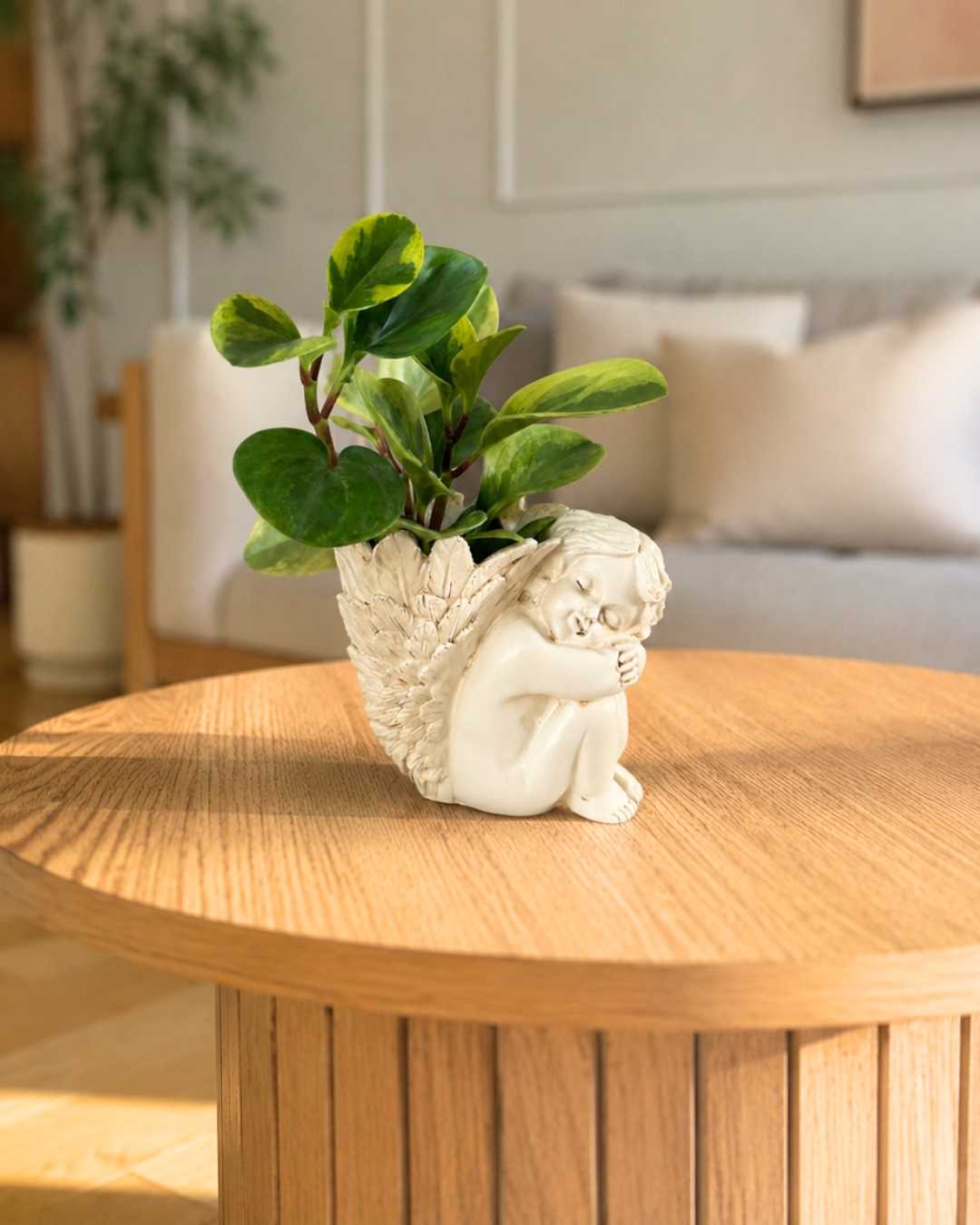 Florero Ángel Decorativo con Peperomia | Planta en Agua para Interior