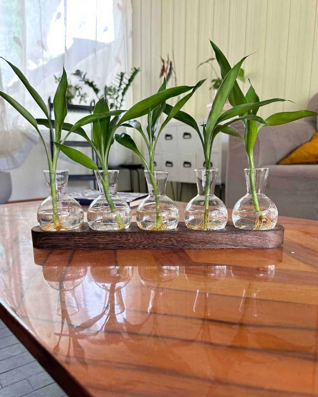 Bandeja Feng Shui con 5 tallos de bambú