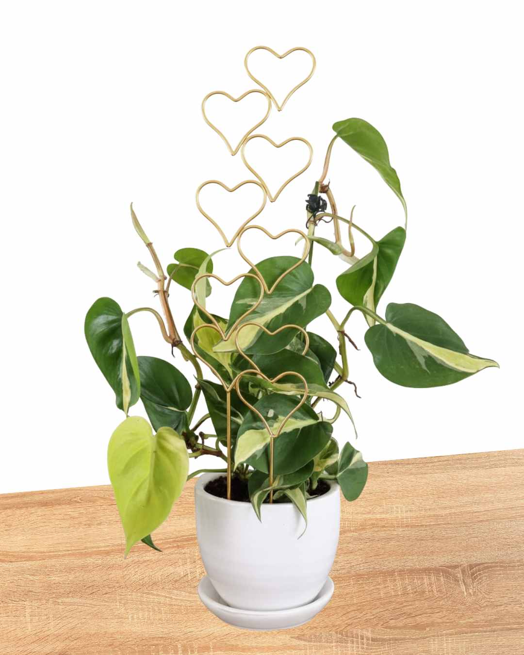 Tutor dorado de corazón para plantas