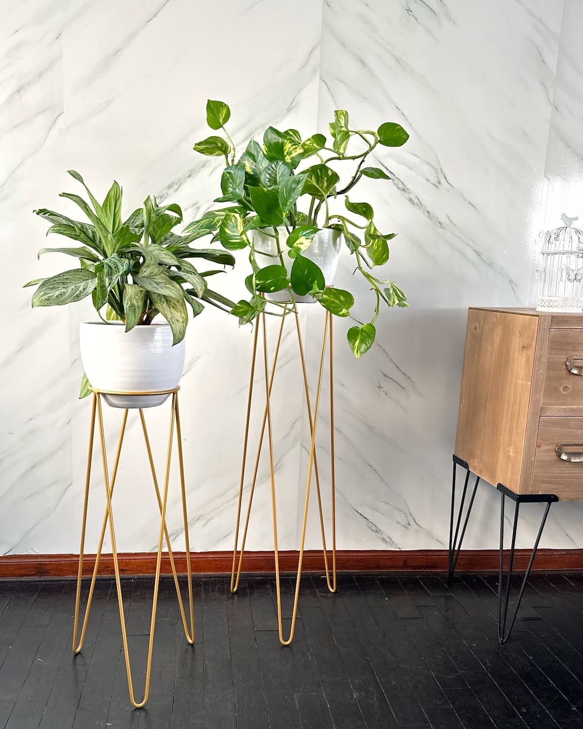 Sets plantas