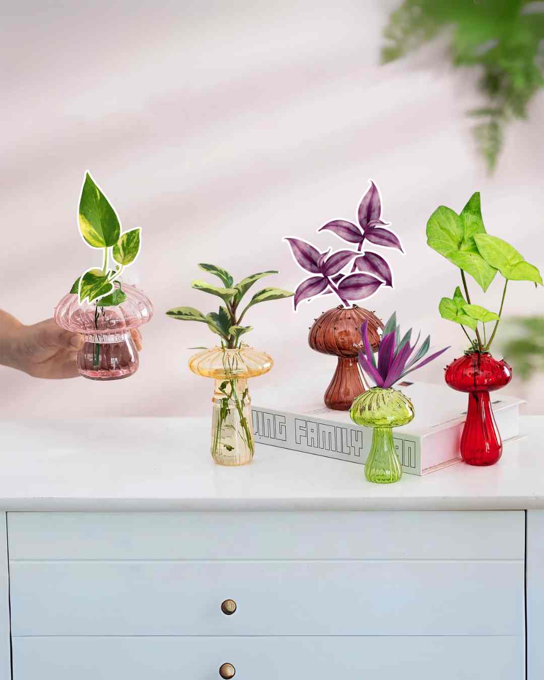 Plantas en agua