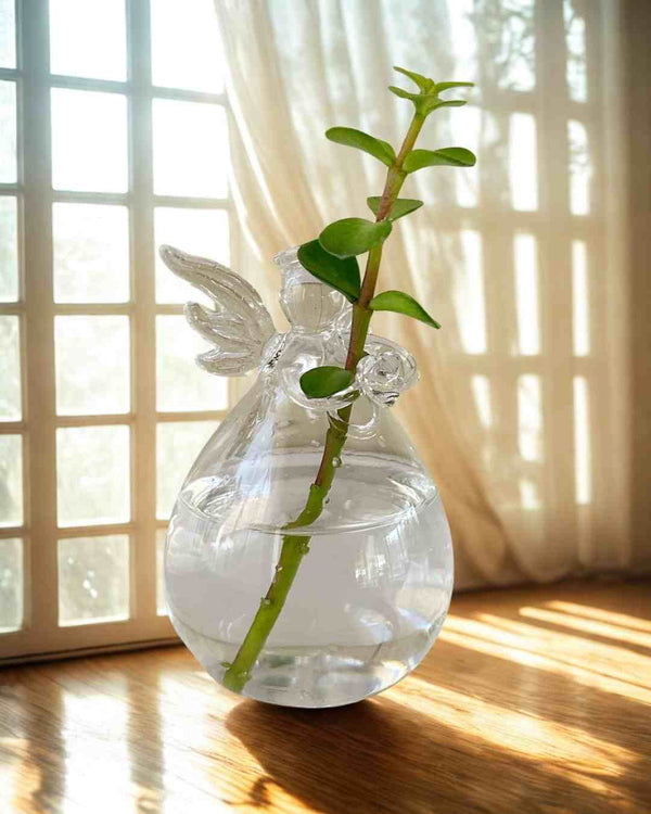Hidroterrario Angel en vidrio
