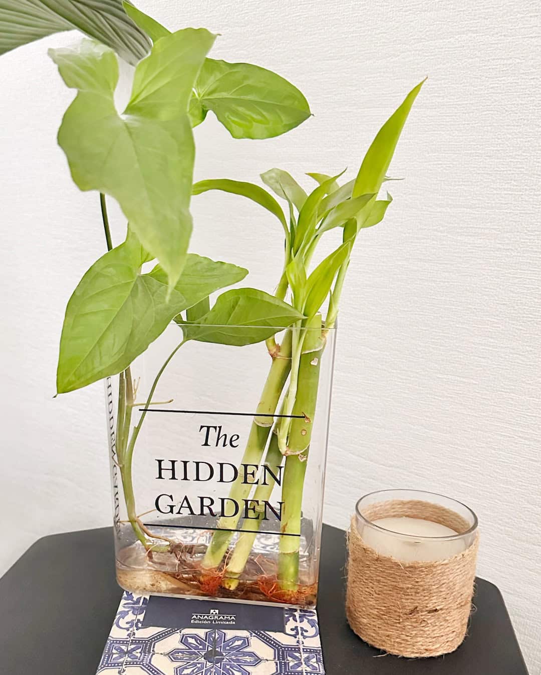 Acrylic Book Libro Florero Hidroterrario para plantas y flores