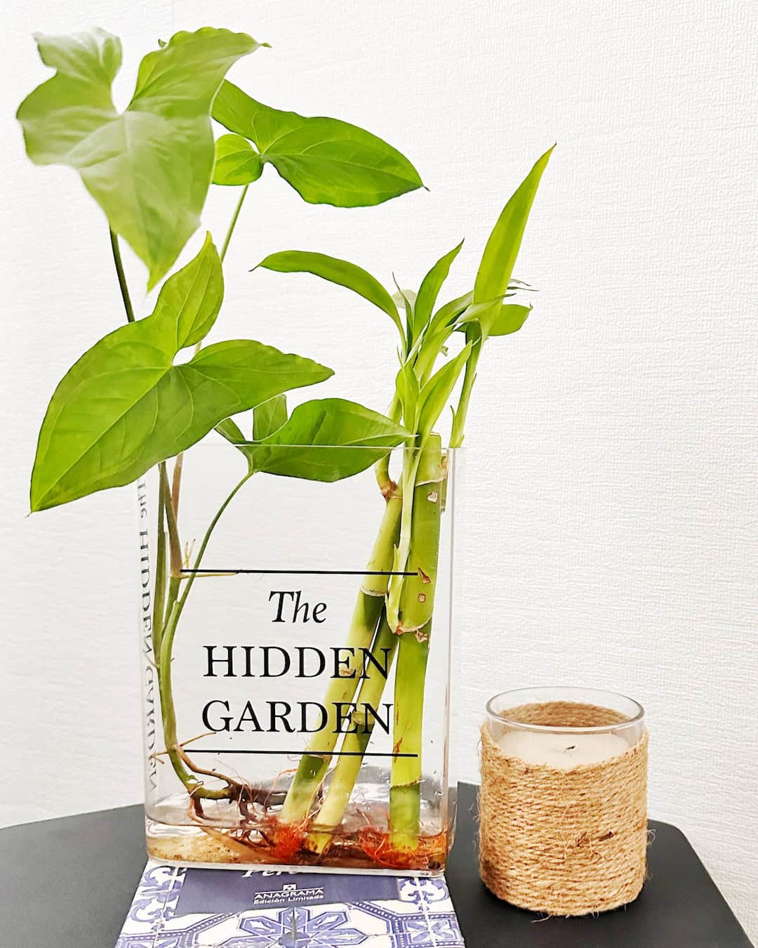 Acrylic Book Libro Florero Hidroterrario para plantas y flores