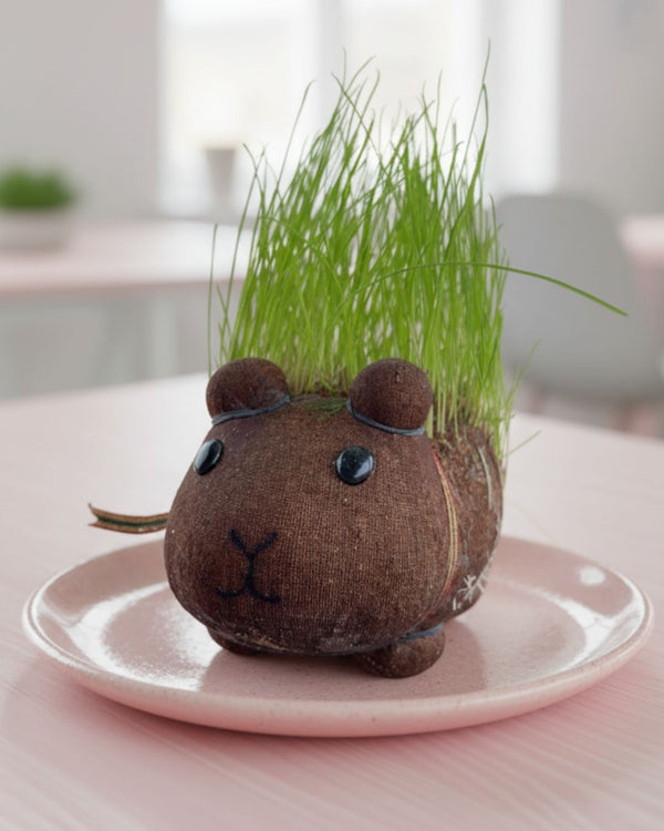 Capibara - Mr Grass