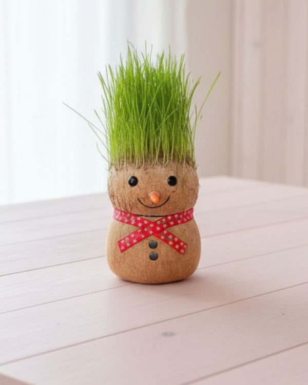 Mister Hugo - Mr Grass