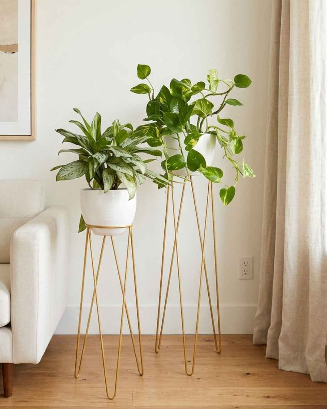 Set Victoria: 2 pedestales para plantas + 2 plantas