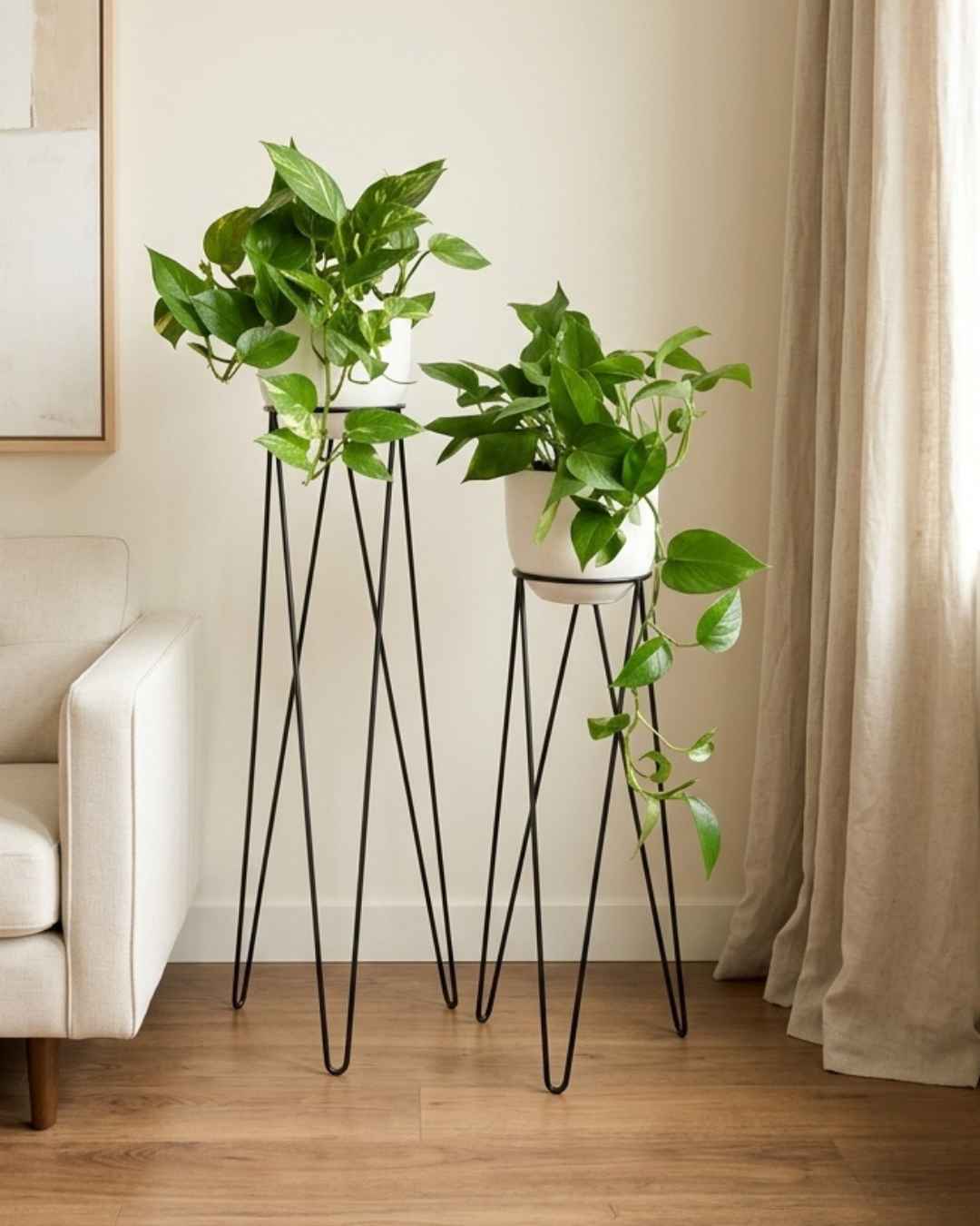 Set Victoria: 2 pedestales para plantas + 2 plantas