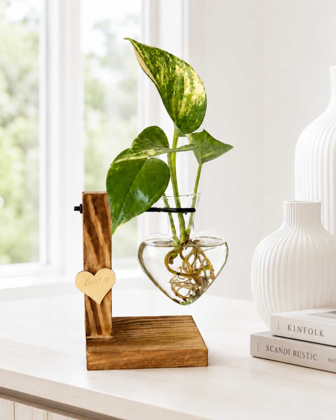Hidroterrario Corazón | Planta en Agua para Interior