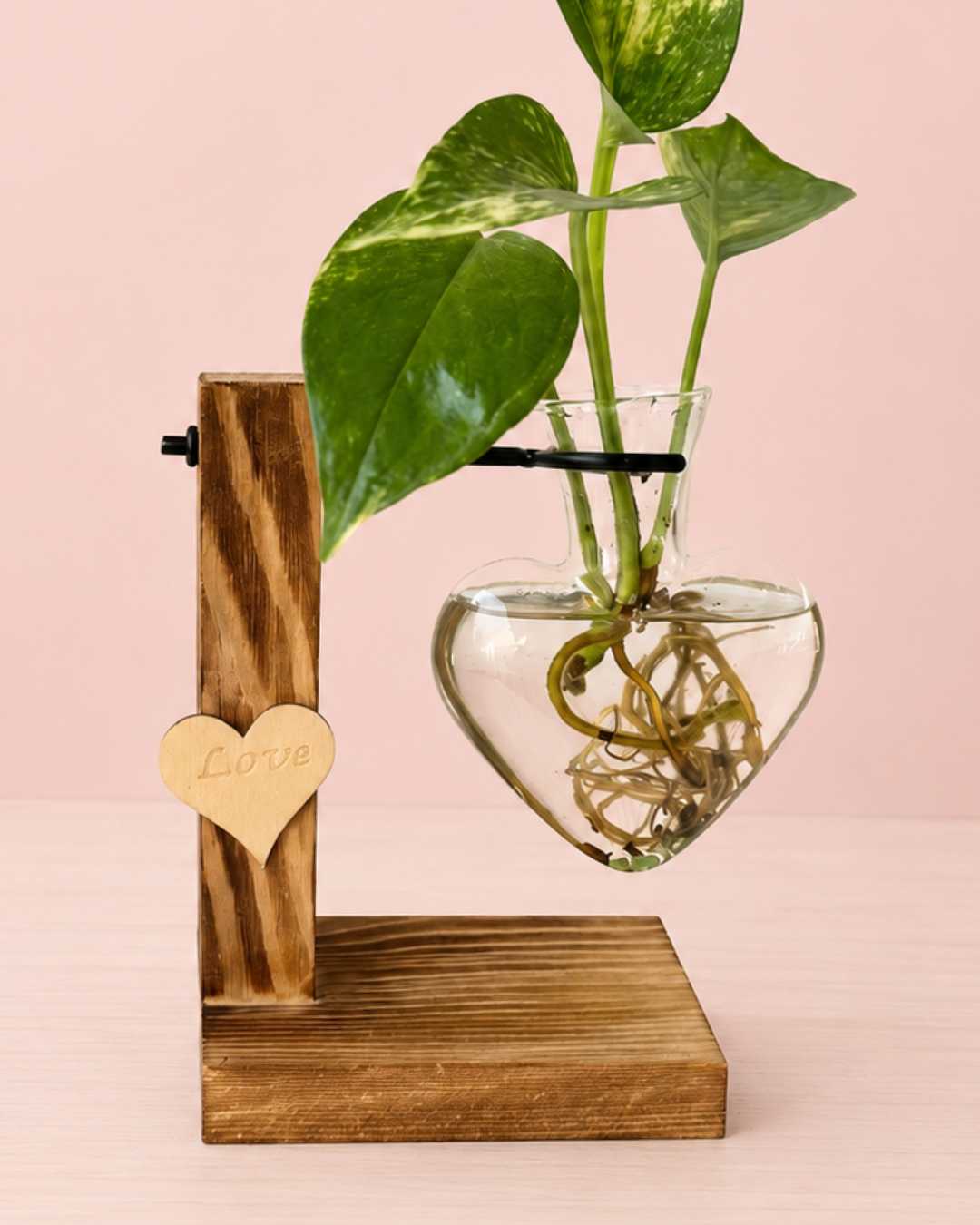 Hidroterrario Corazón | Planta en Agua para Interior