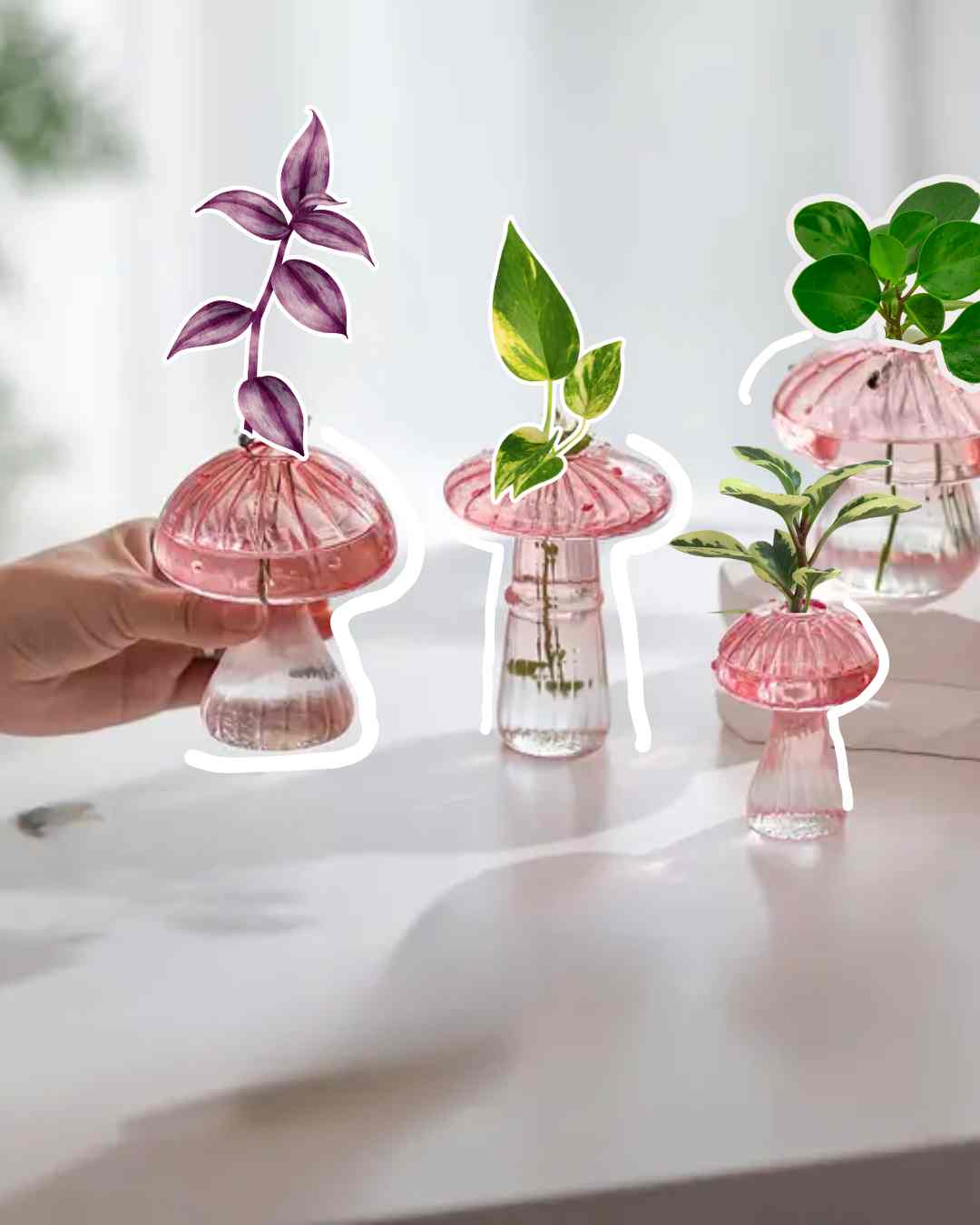 Florero hongo rosa - plantas en agua - Hidroterrario