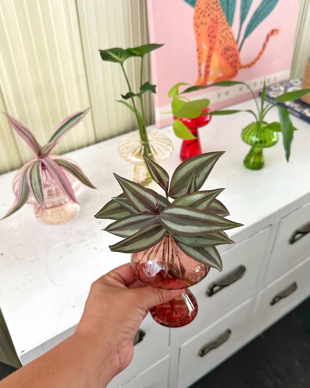 Florero en forma de hongo/setas para plantas en agua - Hidroterrario