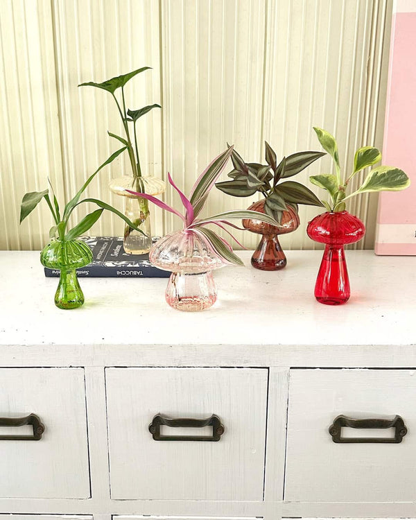 Florero en forma de hongo/setas para plantas en agua - Hidroterrario
