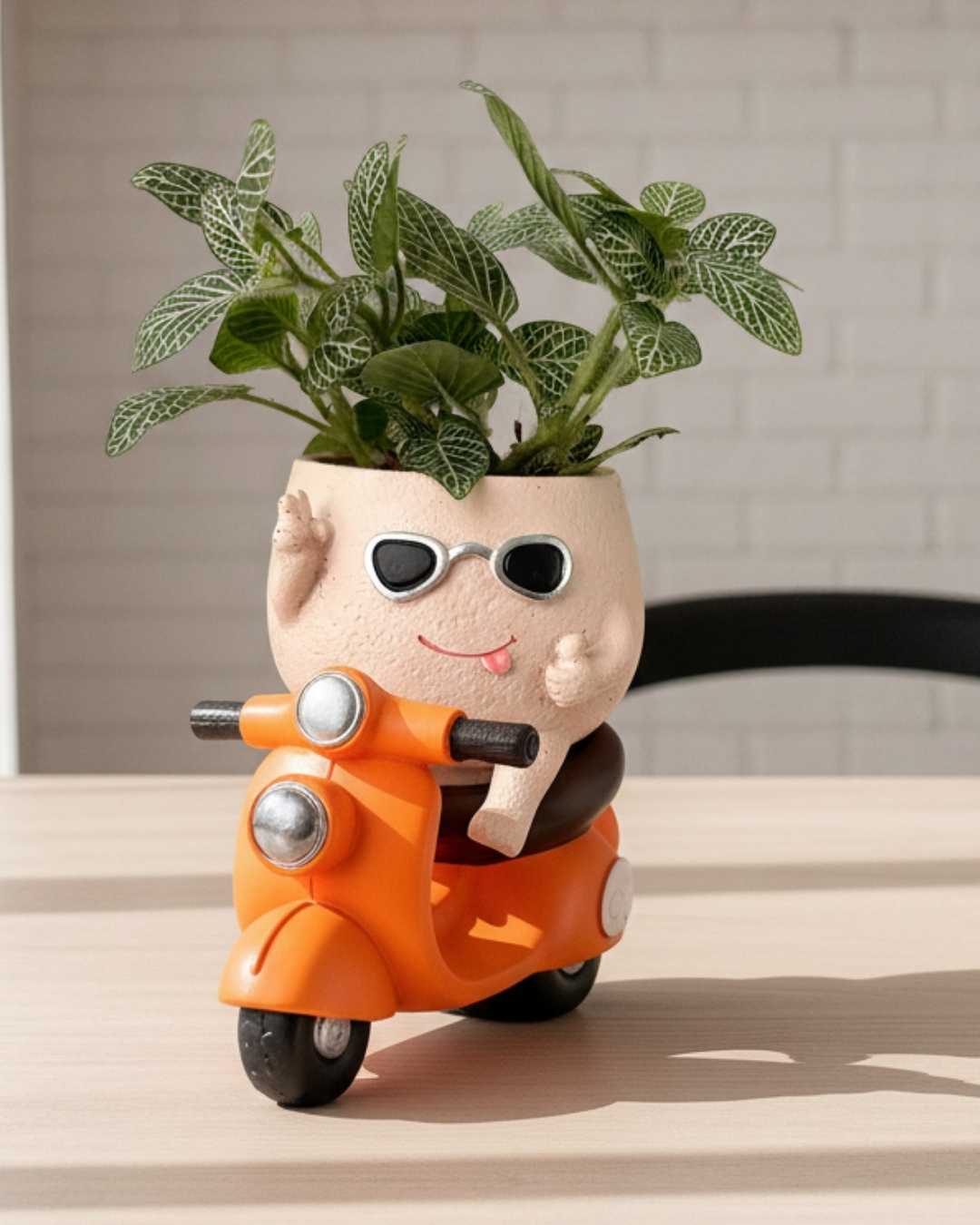 Maceta Motorizado
