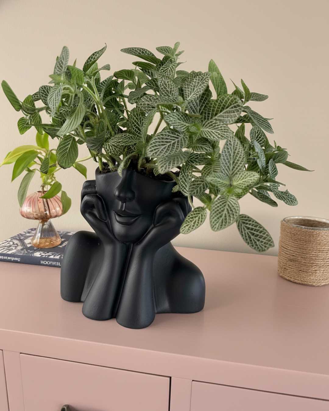 Maceta Mujer extraordinaria