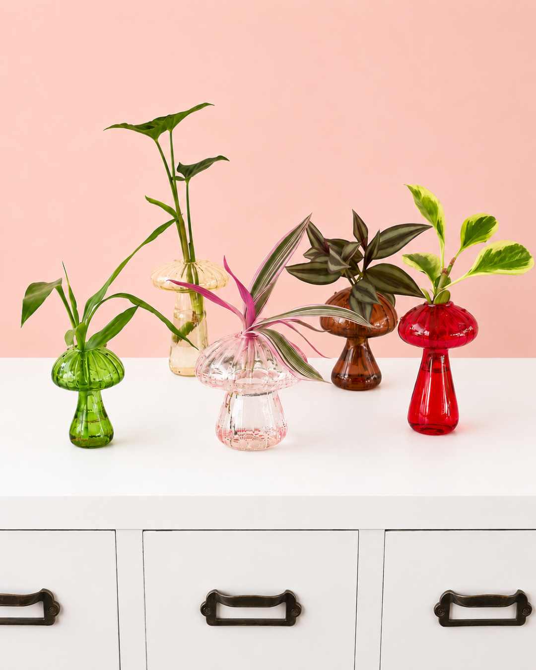 Florero Hongo Colores con Plantas en Agua | Hidroterrario Decorativo